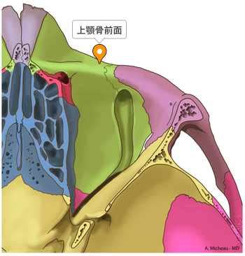 前面|前面